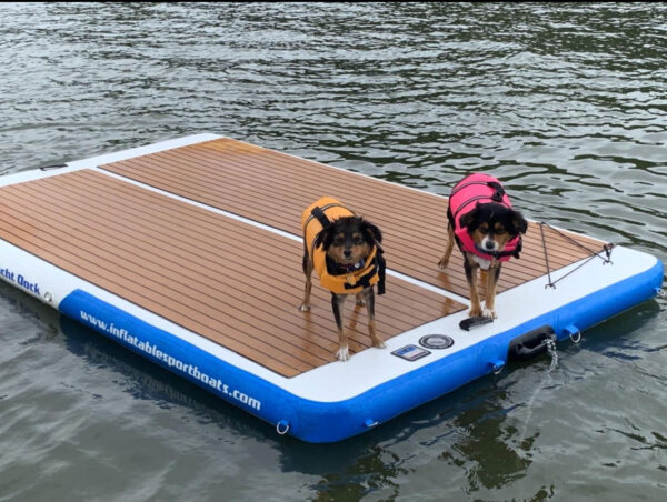 dog friendly yacht dock water platform